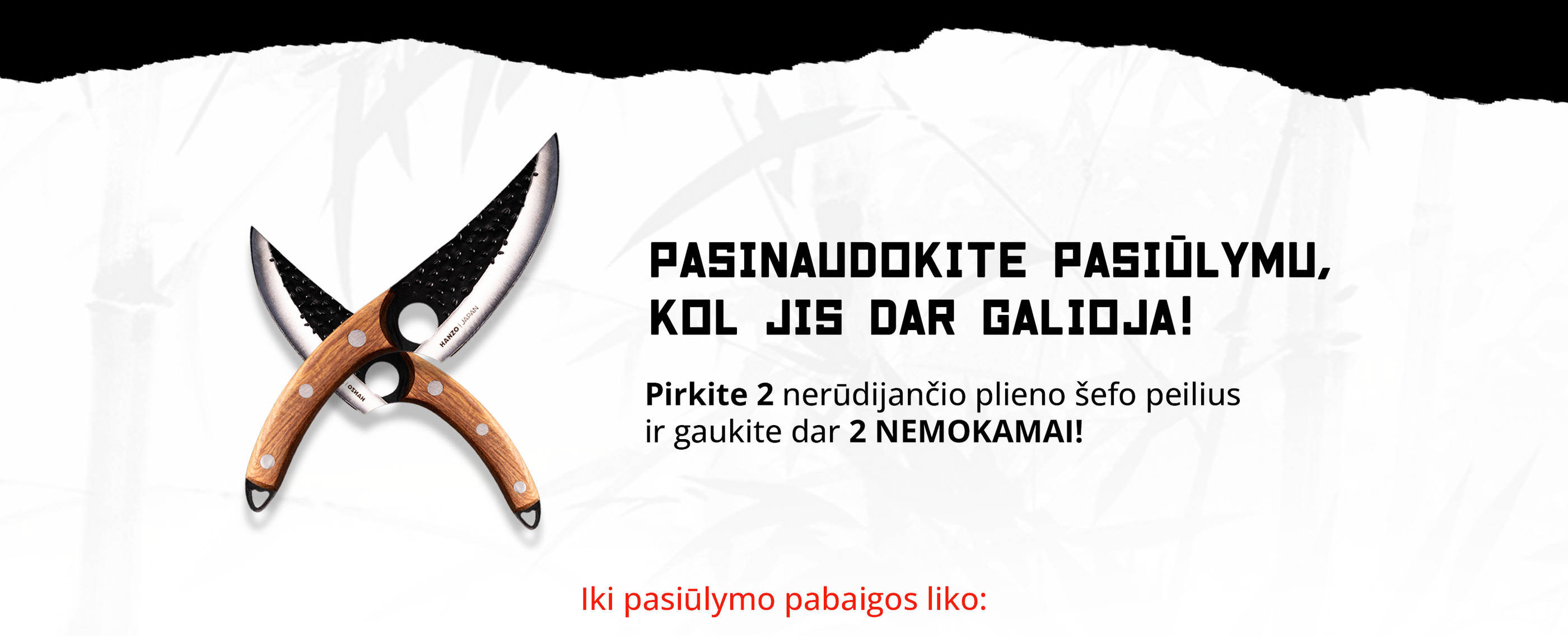 Pasinaudokite pasiūlymu, kol jis dar galioja