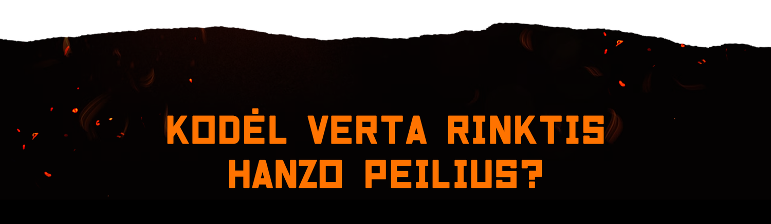 Kodėl verta rinktis Hanzo peilius