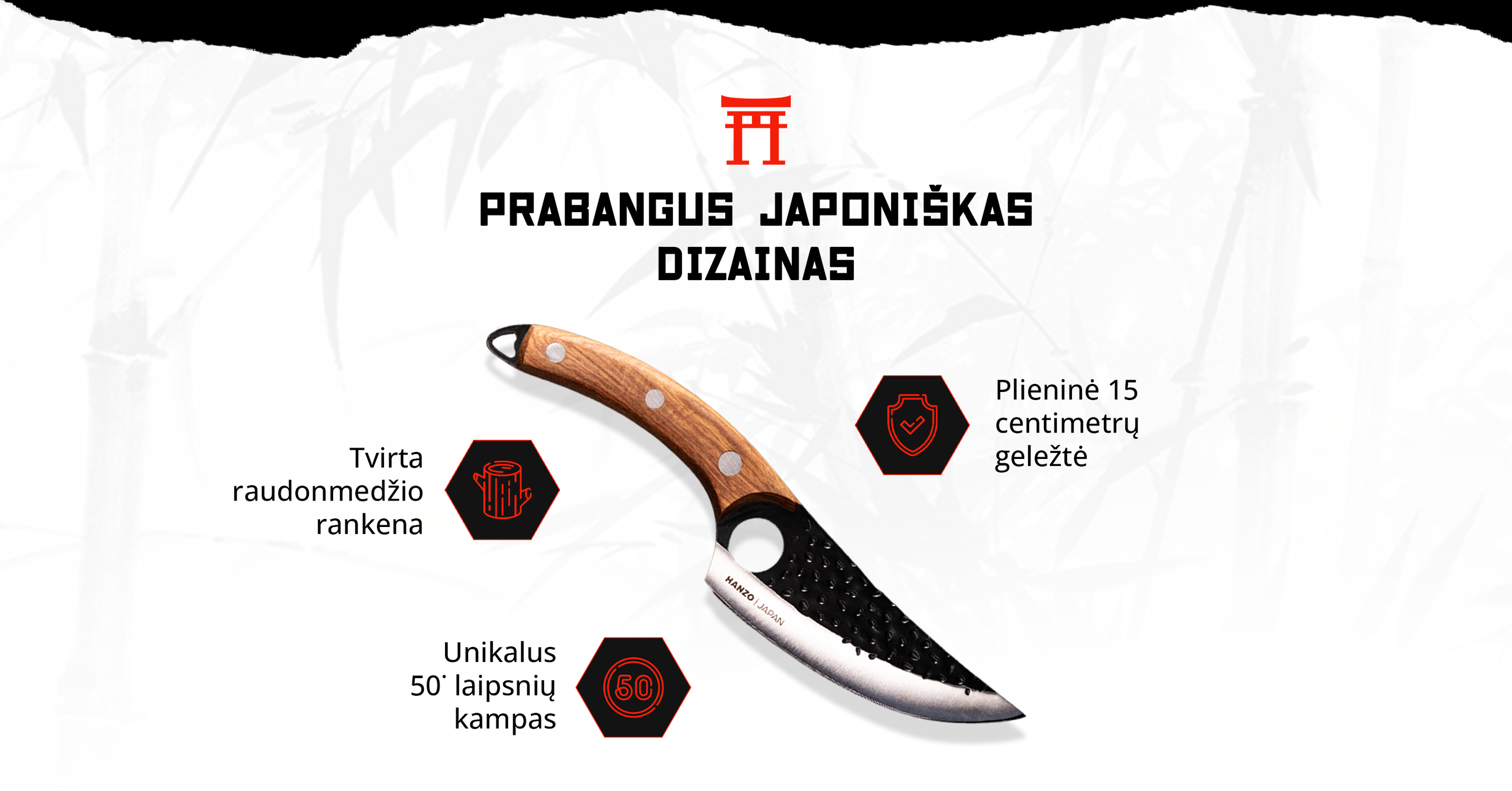 Prabangus japoniškas dizainas